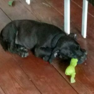 Meet your Posher, Maria l